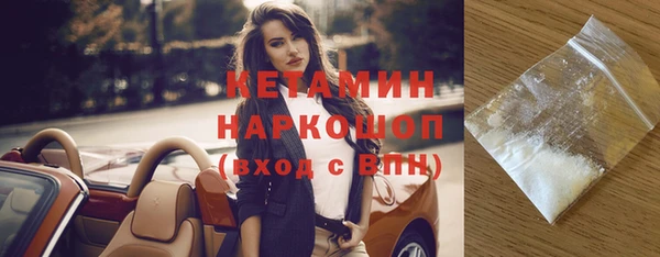 шишки Магас
