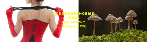 шишки Магас